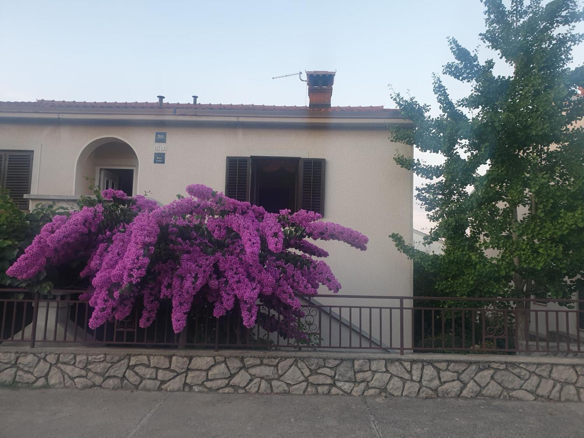 Mara Mali Losinj